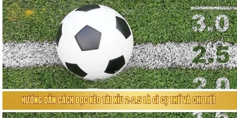 Hướng dẫn cách đọc kèo tài xỉu 2-2.5 là gì cụ thể và chi tiết