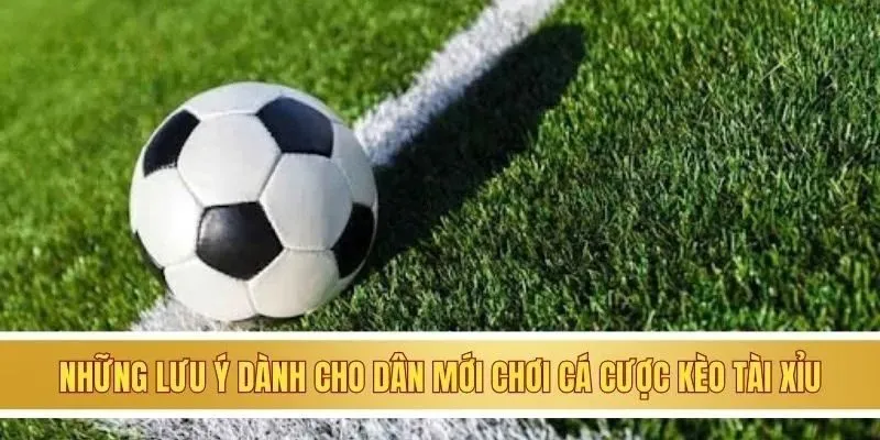 Những lưu ý dành cho dân mới chơi cá cược kèo tài xỉu